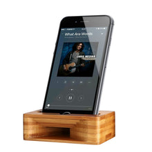 Wood Dock with Sound Amplifier